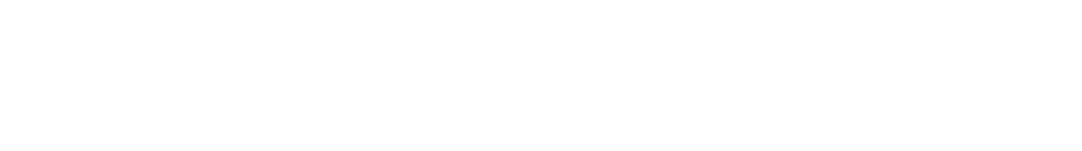 PAHO Logo