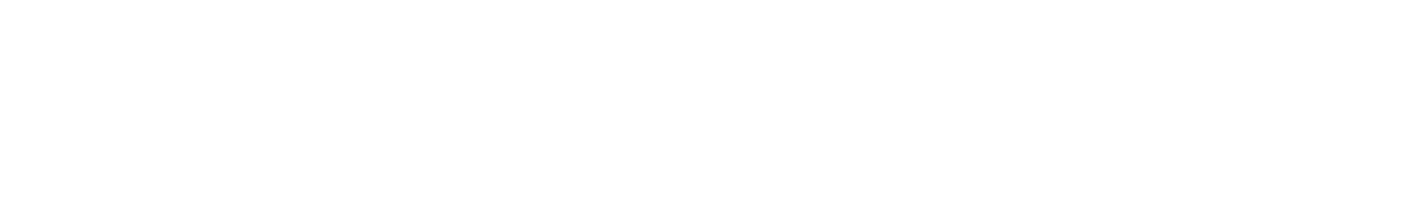 PAHO Logo